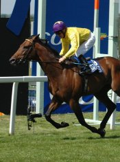 Sea The Stars is one of great 2000 Guineas winners