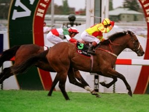 「利得精选」夺冠1999年考菲尔德坚尼赛