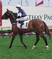 Perlin came off a Brisbane Winter to score in the Underwood<br>Photo by Racing and Sports