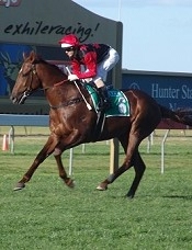 Hotel Grand won as an inexperienced colt<br>Photo by Racing and Sports