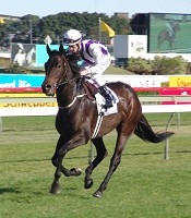 Above Deck brought in good form to Doomben<br>Photo by Racing and Sports