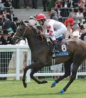 Darryll Holland on Park Esteem heading to the barrier before the running of the Ribblesdale Stakes