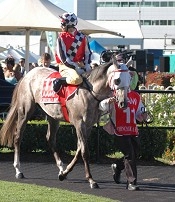 Chinchilla Rose parades<br>Photo by Racing and Sports