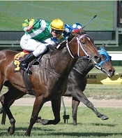 Cinque Cento winning the Waterford - Queen Of The South on Robert Sangster Stakes Raceday