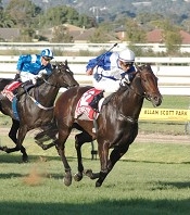 Universal Queen was a superbly bred G1 winner<br>Photo by Racing and Sports