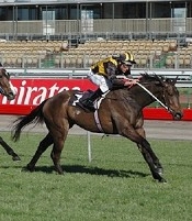 Gallica gave Mick Price another Caulfield G1<br>Photo by Racing and Sports