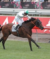 Sirmione roared up the middle of Flemington for Cummings<br>Photo by Racing and Sports