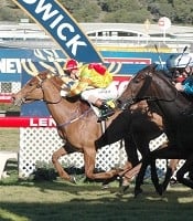 Well related Sliding Cube won a San Domenico Stakes