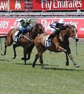 Extend wins at Flemington<br>Photo by Racing and Sports