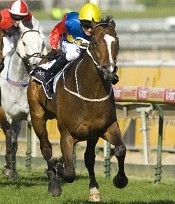 Rubiscent was a surprise winner with favourites usually around the mark since<br>Photo by Bronwen Healy