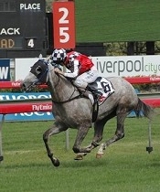 QTC Cup winner Chinchilla Rose<br>Photo by Racing and Sports