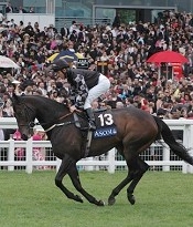 War Artist Heading to Barrier on the Golden Jubilee Stakes (Group 1)