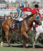 Arapaho Miss<br>Photo by Racing and Sports