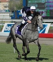 Efficient was in love with Flemington<br>Photo by Racing and Sports