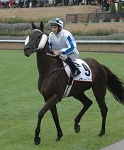 Riva San did the Oaks/Derby double<br>Photo by Racing and Sports