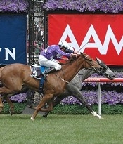 Theseo just nosed out Barbaricus for Gai<br>Photo by Racing and Sports