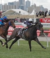 Vigor thrived at Flemington<br>Photo by Racing and Sports