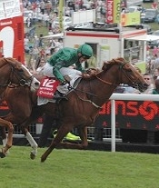 New Approach wins Epsom Derby<br>Photo by Racing and Sports