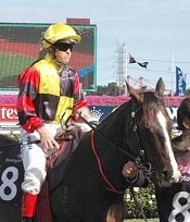 Could little Rockpecker run a race at odds?<br>Photo by Racing and Sports