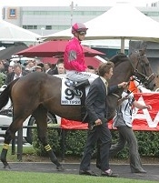 Mr Tipsy<br>Photo by Racing and Sports