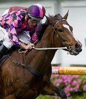 Heart Of Dreams loves te 1800m here<br>Photo by Racing and Sports