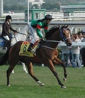 Green Birdie<br>Photo by Racing and Sports
