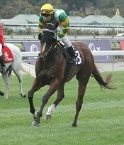 Eskaw, the dam of Skawboard Pressure.<br>Photo by Racing and Sports