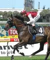 El Cambio won the 3yo Classic in '08 and is topweight in the Sprint in '09<br>Photo by Racing and Sports