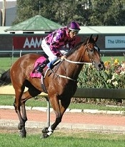 Heart of Dreams was perfectly suited to 1800m at home<br>Photo by Racing and Sports