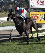 Star Tiara winning the Maico Pty Ltd Hcp (67) on Grafton Cup Raceday