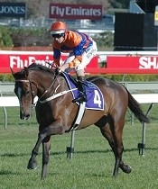 Sniper's Bullet on target for another G1<br>Photo by Racing and Sports