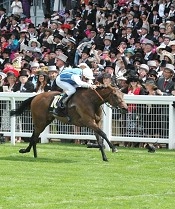 Goldikova winning the Queen Anne Stakes (Group 1) on Royal Ascot 2010 Day 1