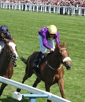 Rite of Passage wins the Ascot Gold Cup