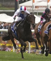 Americain wins the Moonee Valley Cup<br>Photo by Racing and Sports