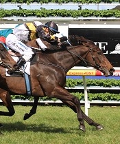 And Rock faces some stiff opposition in the Guineas<br>Photo by Racing and Sports