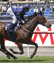 Atlantic Jewel<br>Photo by Racing and Sports