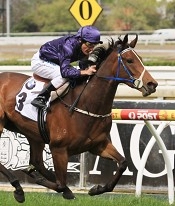 Atlantic Jewel looks a star of the future<br>Photo by Racing and Sports