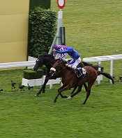 Finish of the Prince of Wales's Stakes<br>Photo by Racing and Sports