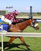 Blake wins the Cape Summer Stayers Hcp <br>Photo by Gold Circle