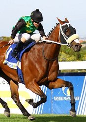 Bravura wins the Green Point Stakes<br>Photo by Gold Circle