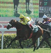 Dunaden wins in Hong Kong<br>Photo by Racing and Sports