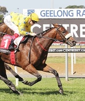 Dunaden was impressive at Geelong<br>Photo by Racing and Sports