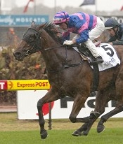 Elite Falls rates as the filly to beat on her superior form from last season<br>Photo by Racing and Sports