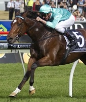 Epsom Handicap winner Fat Al<br>Photo by Racing and Sports