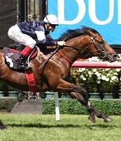 Green Moon eye catching Memsie run<br>Photo by Racing and Sports