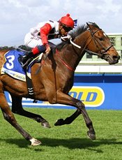 Hospitality wins the Durbanville Cup<br>Photo by Gold Circle