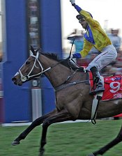 Igugu wins the Durban July<br>Photo by Gold Circle