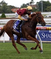 Johannapine under the odds <br>Photo by Racing and Sports