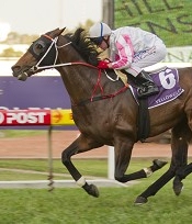 Love Conquers All showed a nice return to form<br>Photo by Racing and Sports