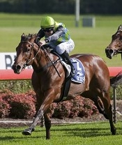 Manawanui could hardly have been more impressive<br>Photo by Racing and Sports